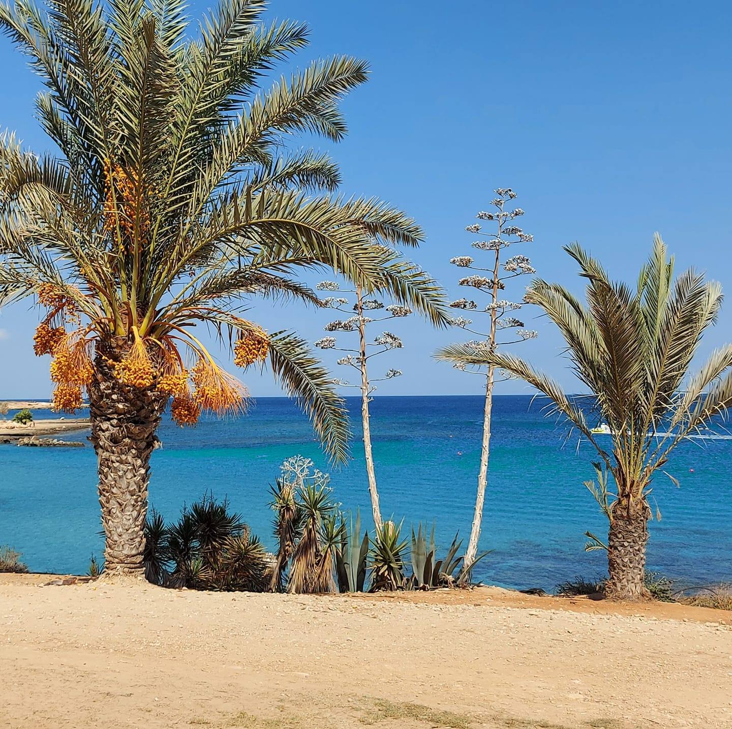 Golden sands and turquoise waters of Nissi Beach, a highlight of Agia Napa.
