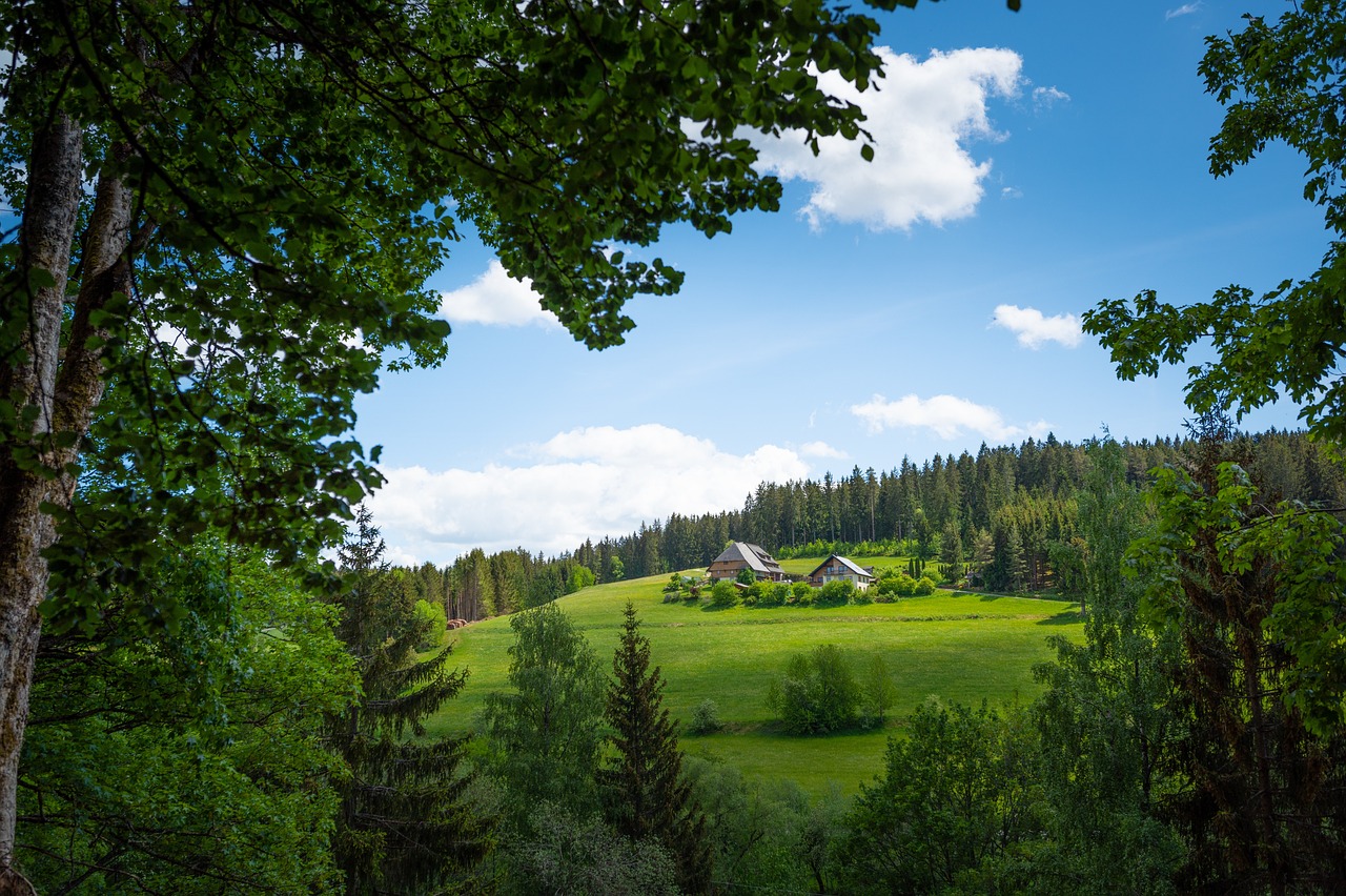 Scenic view of the Black Forest Railway, Germany, winding through lush forests and picturesque landscapes