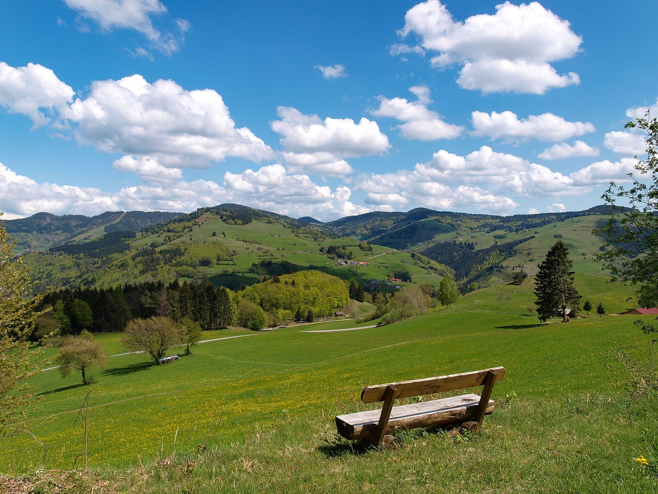 Black Forest, Germany