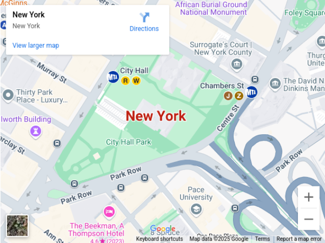 New York in Google Map